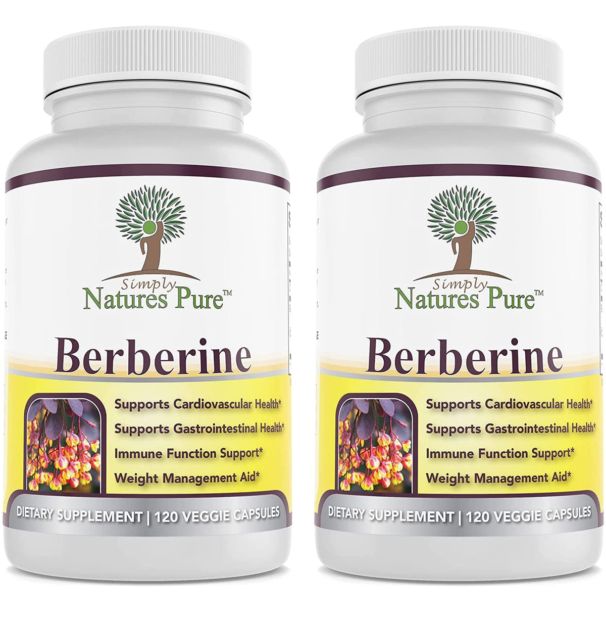 Simply Natures Pure berberine bottle front showing premium supplement packaging
