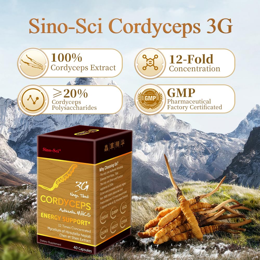 Sino-Sci Cordyceps packaging front reveals authentic Tibetan origin and premium sourcing.