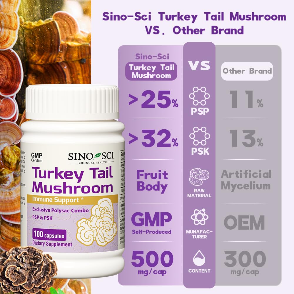 Sino-Sci Turkey Tail packaging box emphasizing non-GMO and GMP-certified production.