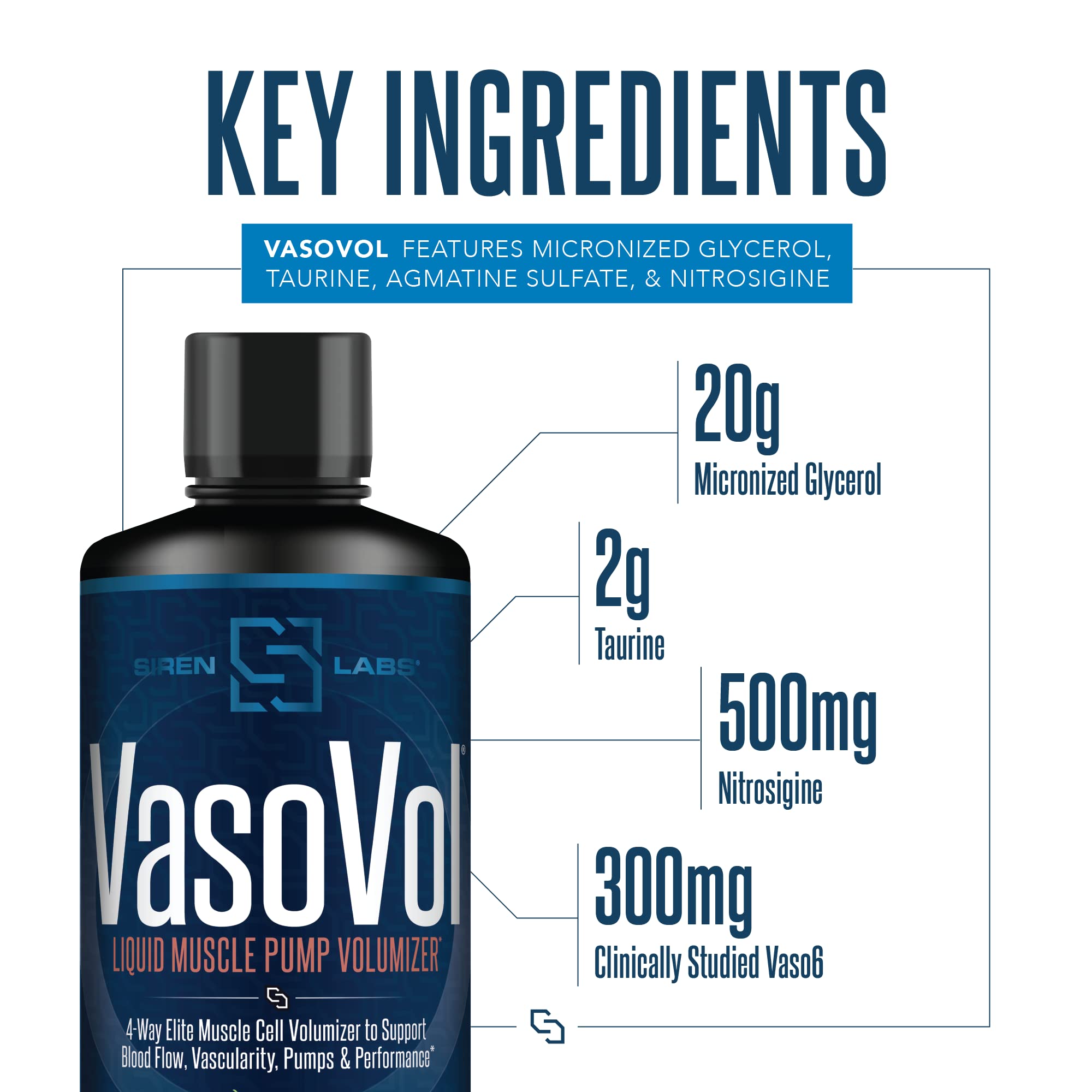 SIRENLABS Vaso-Vol ingredients graphic highlighting agmatine and nitrosigine.