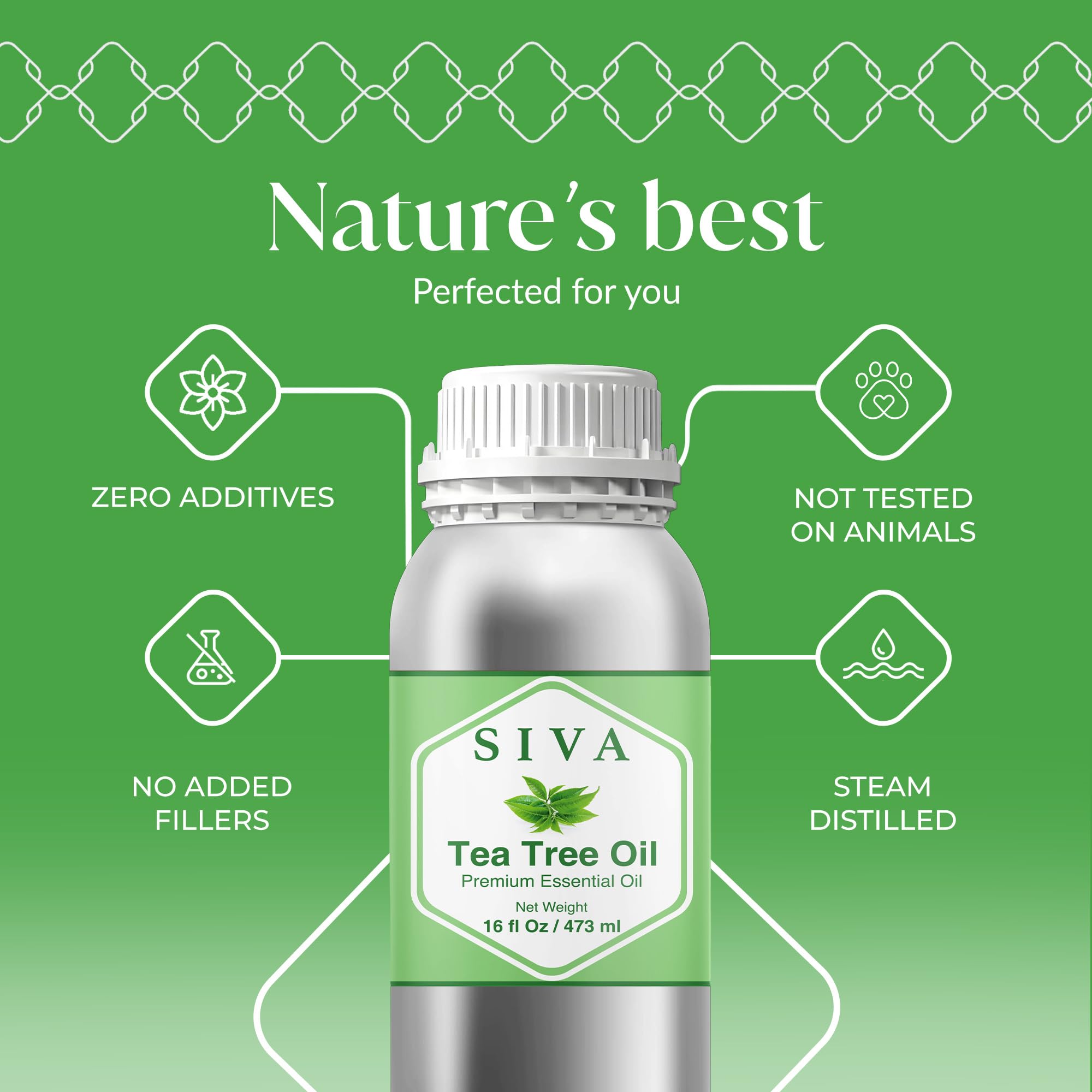 Siva Tea Tree Oil in a diffuser setup enhancing room ambience.