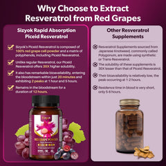 Sizyok bottle label highlighting a health-forward botanical blend from red grapes.