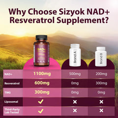 Sizyok energy and focus support with B vitamins and ginseng