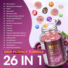 Sizyok NAD Resveratrol Gummies ingredients highlight collagen and grape seed