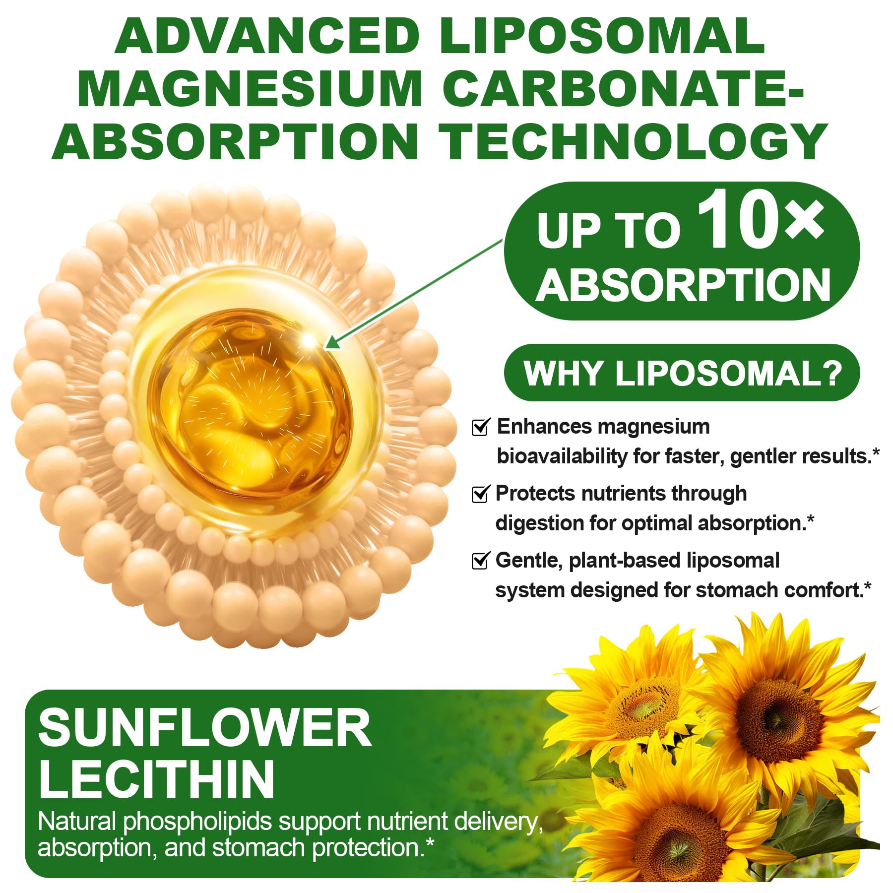 SKLIA liposomal magnesium gummies muscle-nerve balance—supports daily wellness with B vitamins