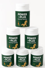 Skydia Power Plus Super shows lion's mane and honey in blend for focus