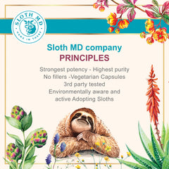 SLOTH MD Aloe Ferox capsules held in hand for on-the-go support