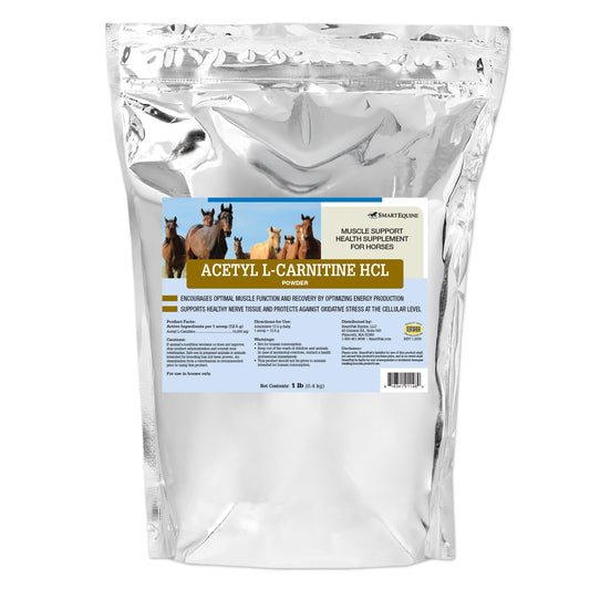 SmartEquine Acetyl L-Carnitine HCL Powder bottle, energy-supporting supplement for horses