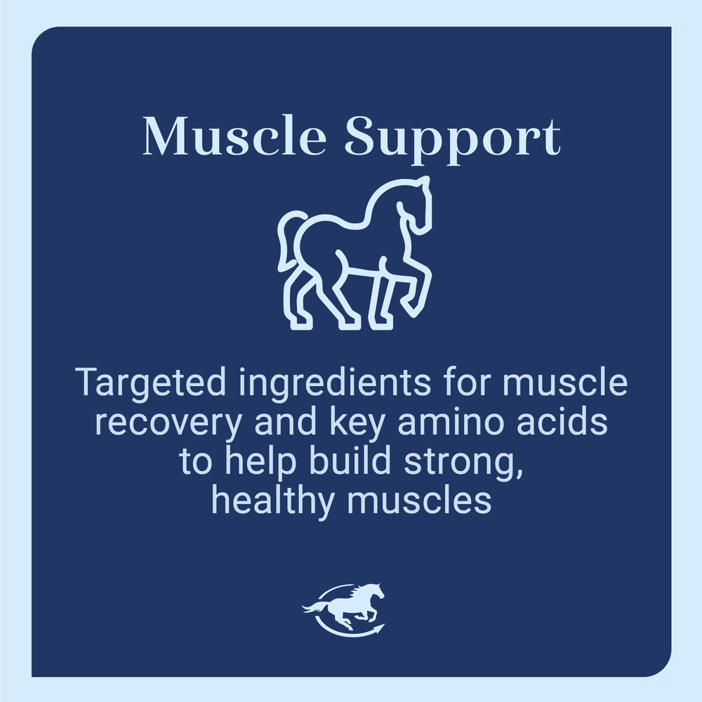 SmartEquine Acetyl L-Carnitine HCL Powder label highlighting purity and ingredients