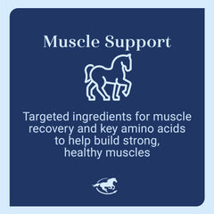 SmartEquine Acetyl L-Carnitine HCL Powder label highlighting purity and ingredients