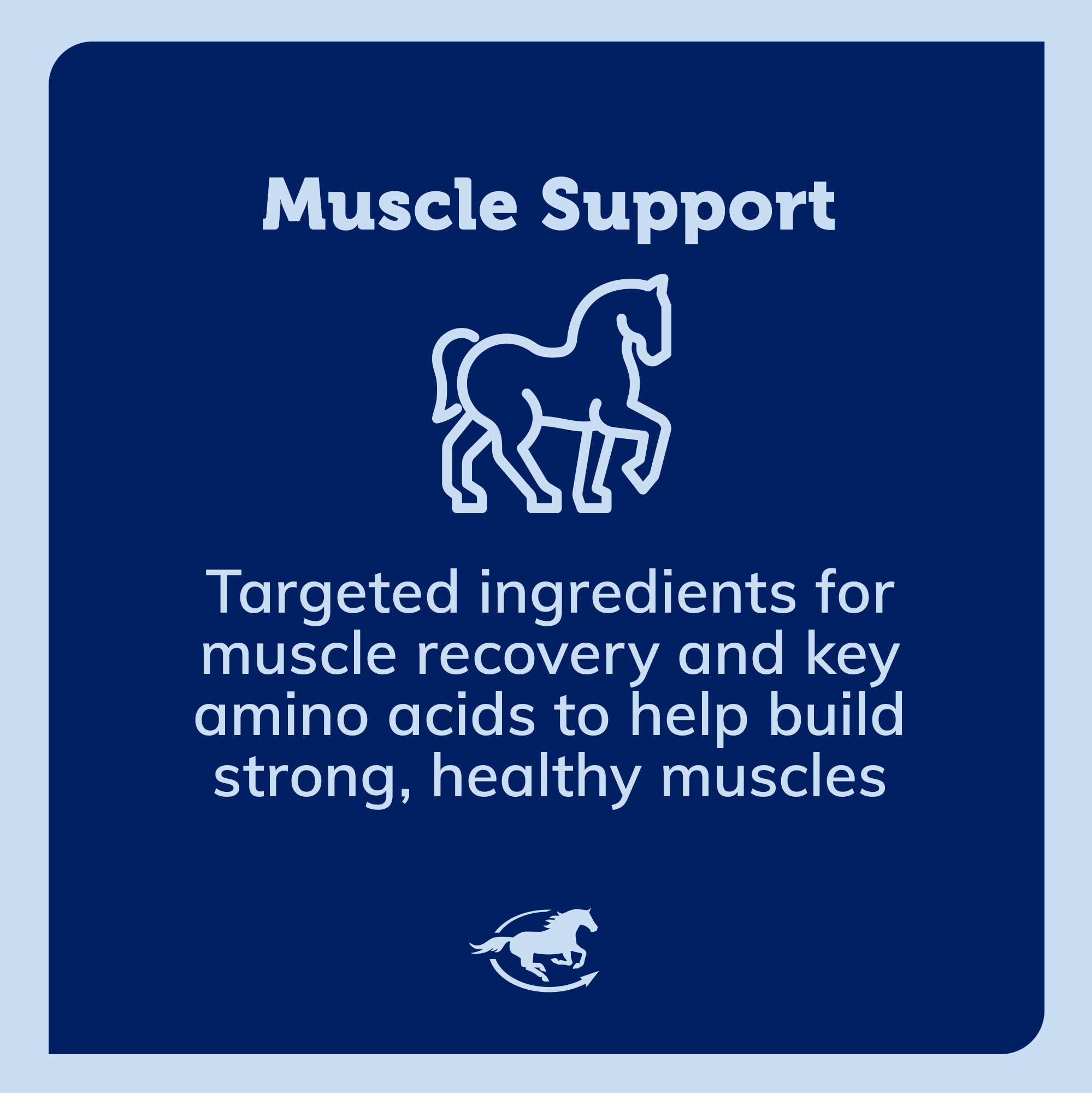 SmartEquine Acetyl L-Carnitine HCL Powder served in feed to support energy