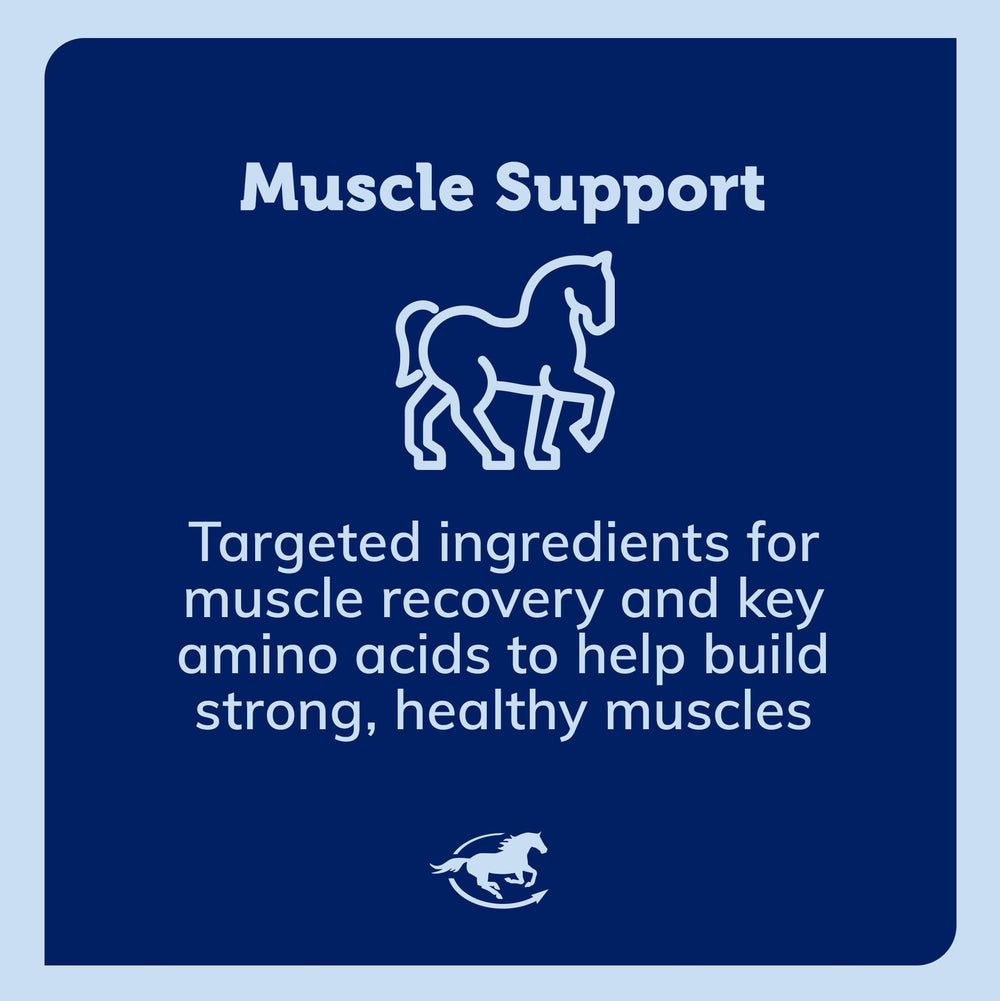 SmartEquine Acetyl L-Carnitine HCL Powder served in feed to support energy