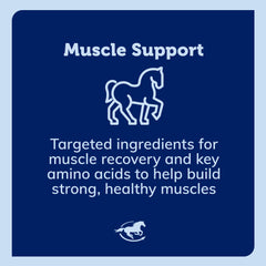 SmartEquine Acetyl L-Carnitine HCL Powder served in feed to support energy