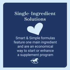 SmartEquine MSM Pellets feeding scene illustrates easy integration into turnout.