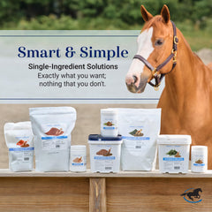 SmartEquine MSM Pellets in a storage container for daily use.