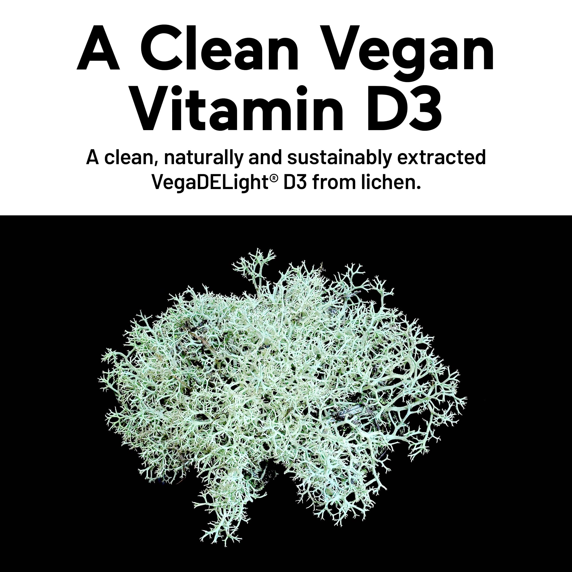 Smarternutrition vegan-d3-k2-capsules showing MK-7 and MK-4 for bone proteins