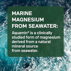 SMARTERNUTRITION Smarter Magnesium Complex L-Theanine icon, calming synergy.