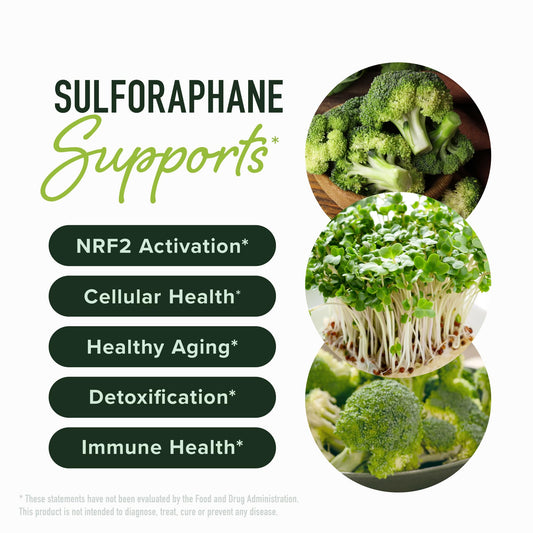 Close-up of SMNutrition capsule illustrating delayed-release technology for absorption.