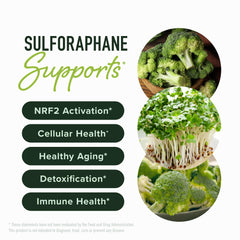 Close-up of SMNutrition capsule illustrating delayed-release technology for absorption.
