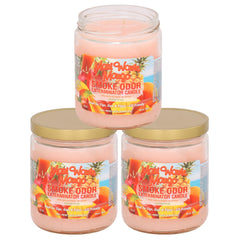Smoke Odor Exterminator Maui Wowie Mango candle neutralizes smoke and pet odors while adding a tropical aroma.