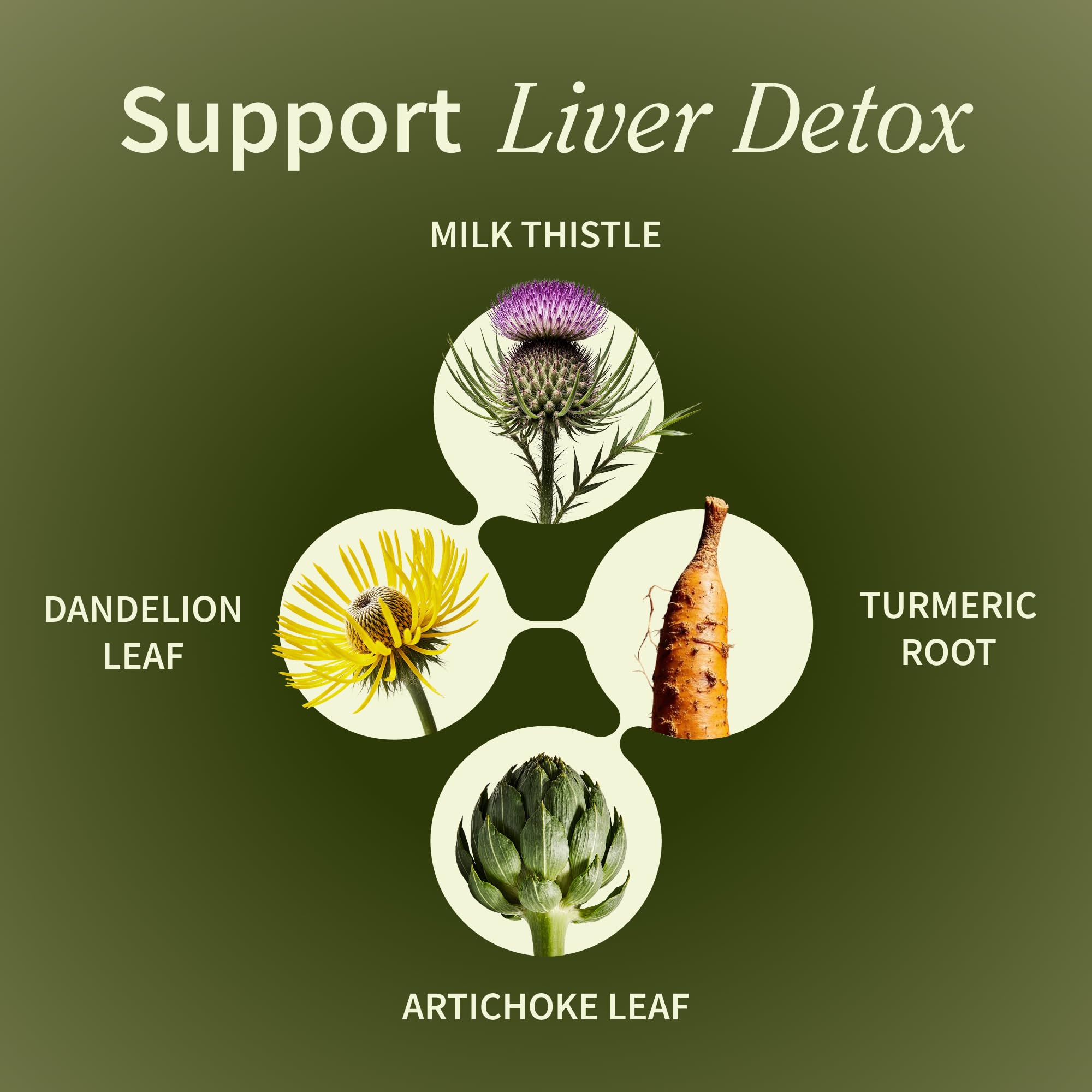 Snap Supplements artichoke extract supports healthy liver function and digestion