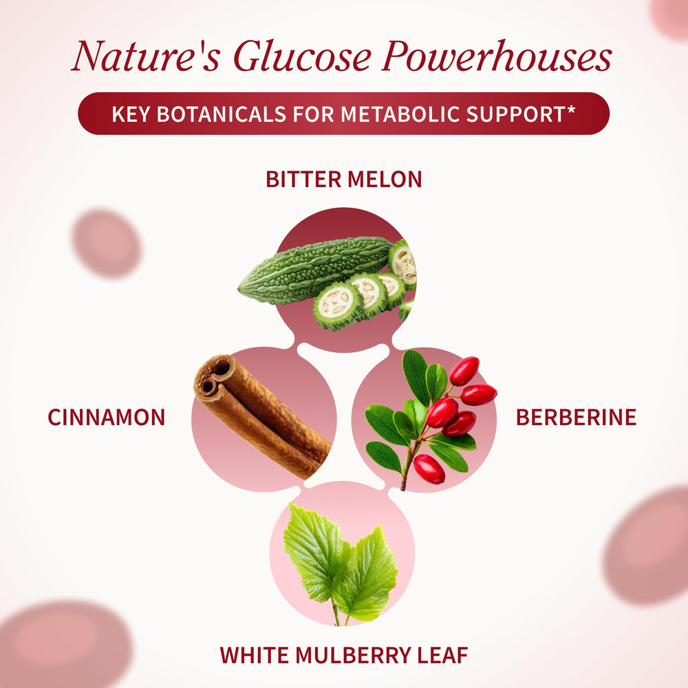 Snap Supplements Blood Sugar Blend label detail emphasizes quality and transparency.