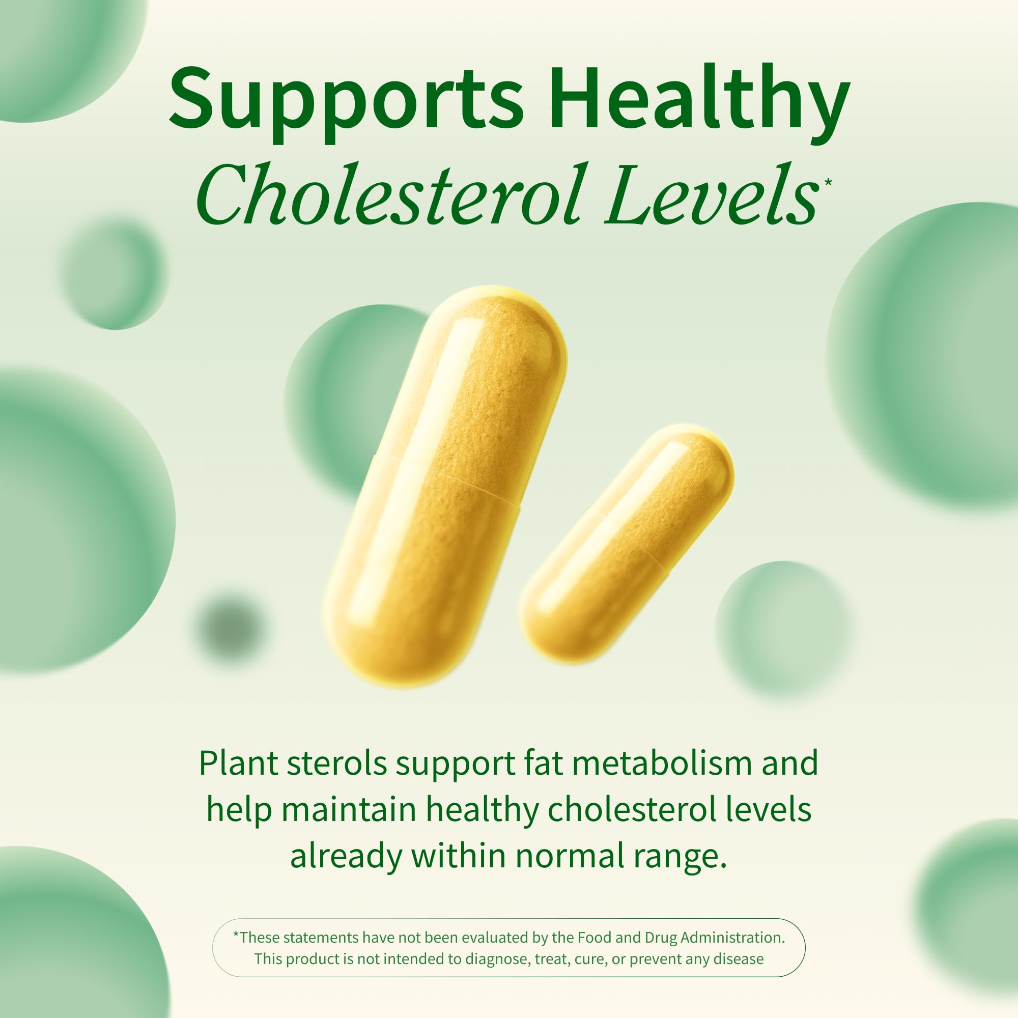 Snap Supplements Cholesterol Health artichoke leaf extract close-up with balance focus.