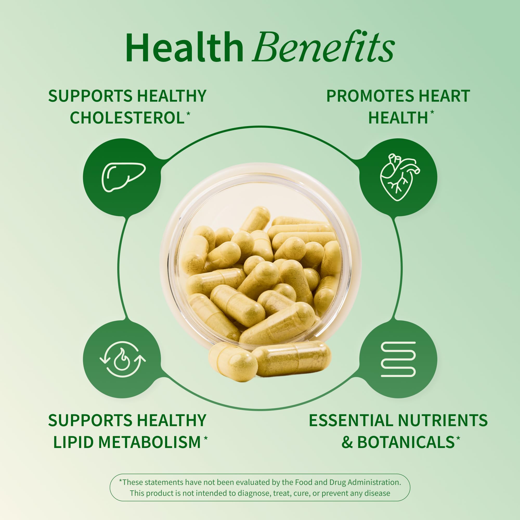 Snap Supplements Cholesterol Health garlic extract capsules for gut-friendly health.