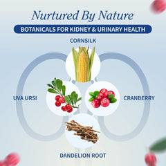 Snap Supplements grape seed extract capsule close-up for antioxidant-inspired wellness.