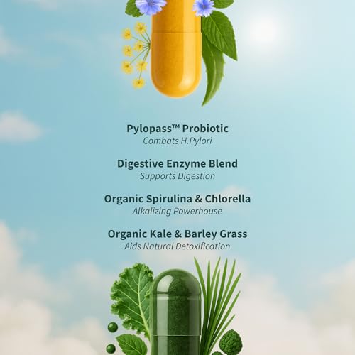 Snap Supplements Probiotic Prebiotic Enzymes balance the gut while you go about your day