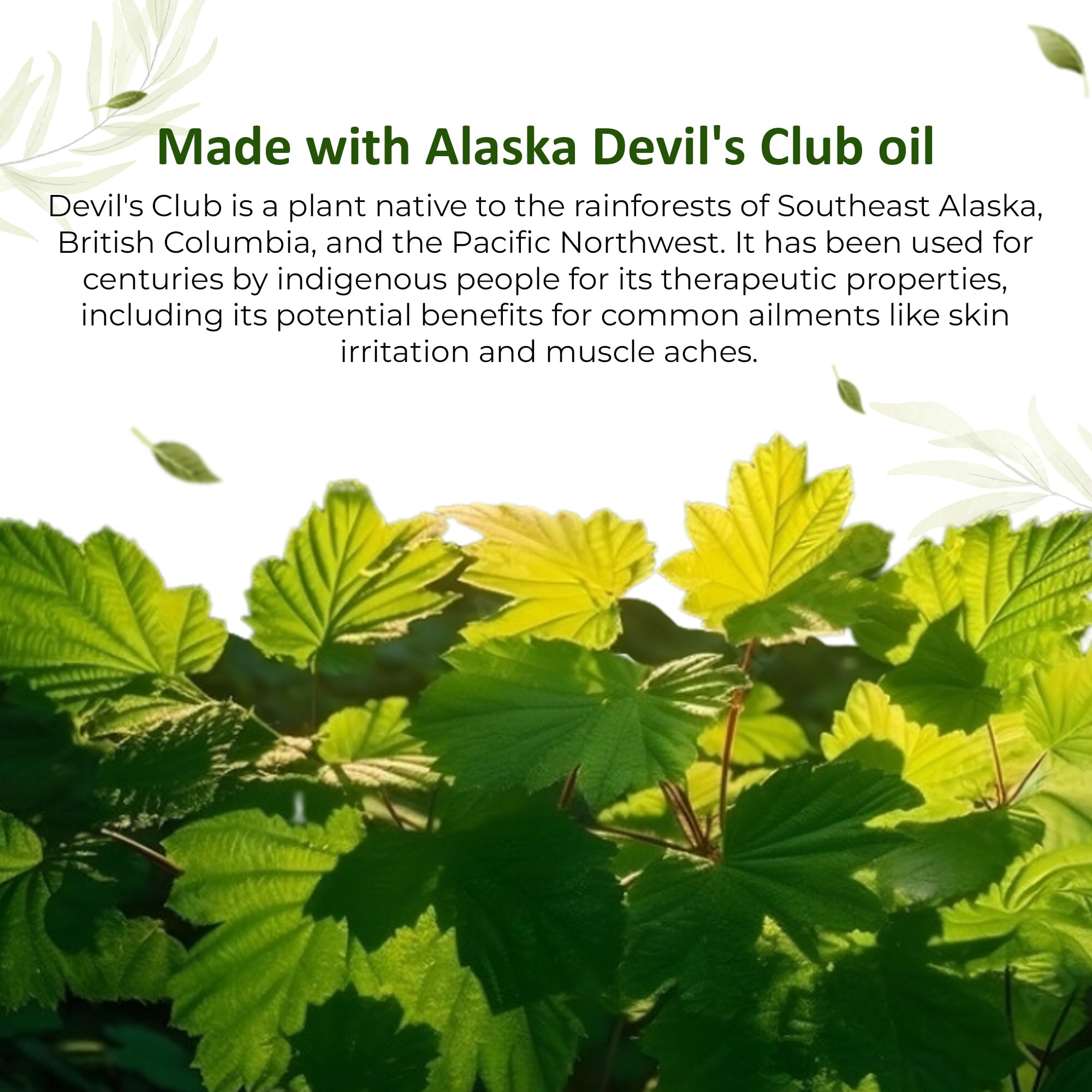 Snowy Summit Devils Club blend highlights natural ingredients in the formula.