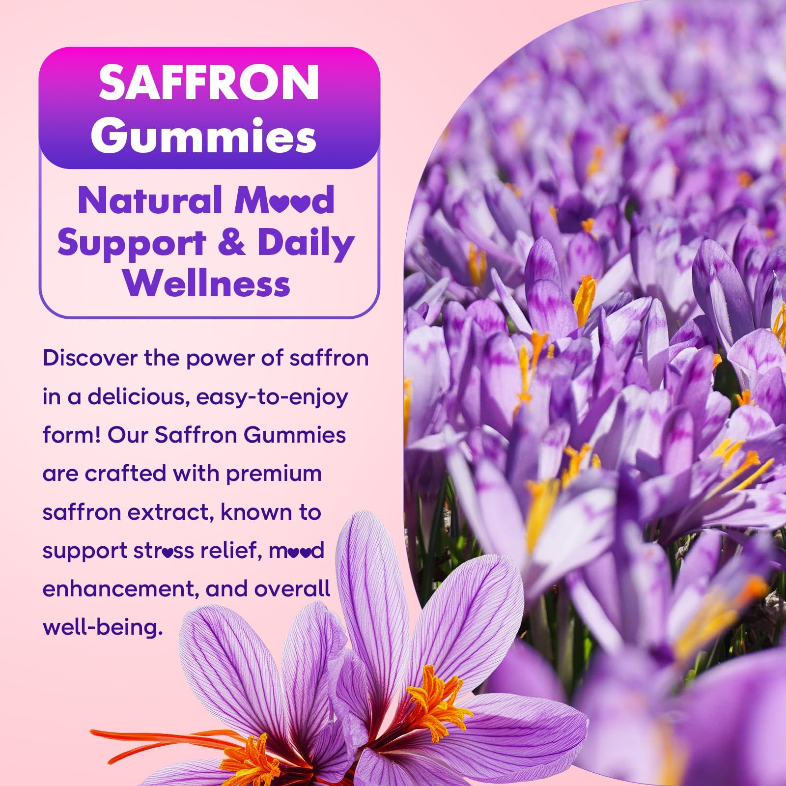 Softbear saffron gummies raspberry-flavor close-up emphasizes natural taste and organic ingredients