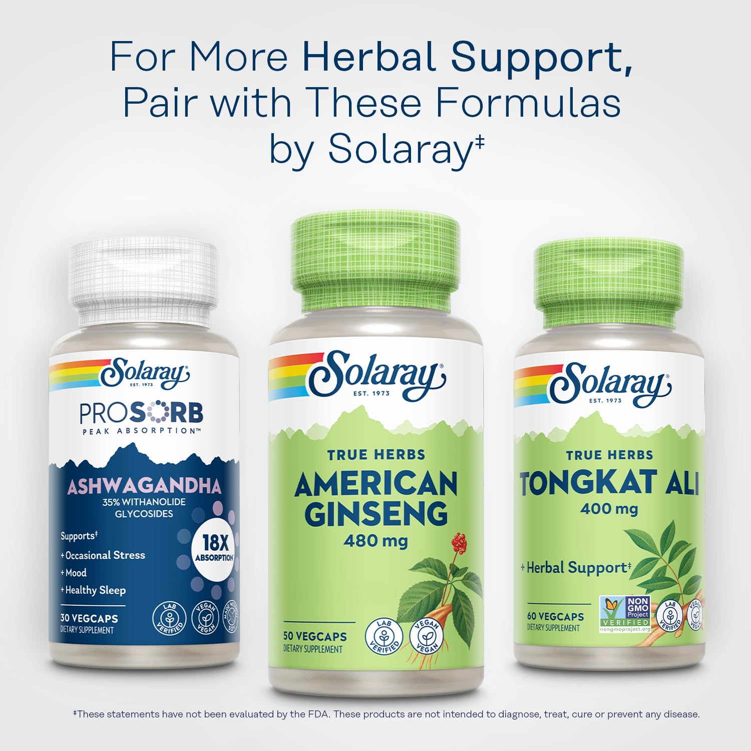 SOLARAY American Ginseng 480 mg packaging close-up with usage guidance