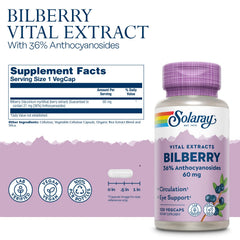 SOLARAY vegan bilberry capsules close-up for plant-based daily supplementation.