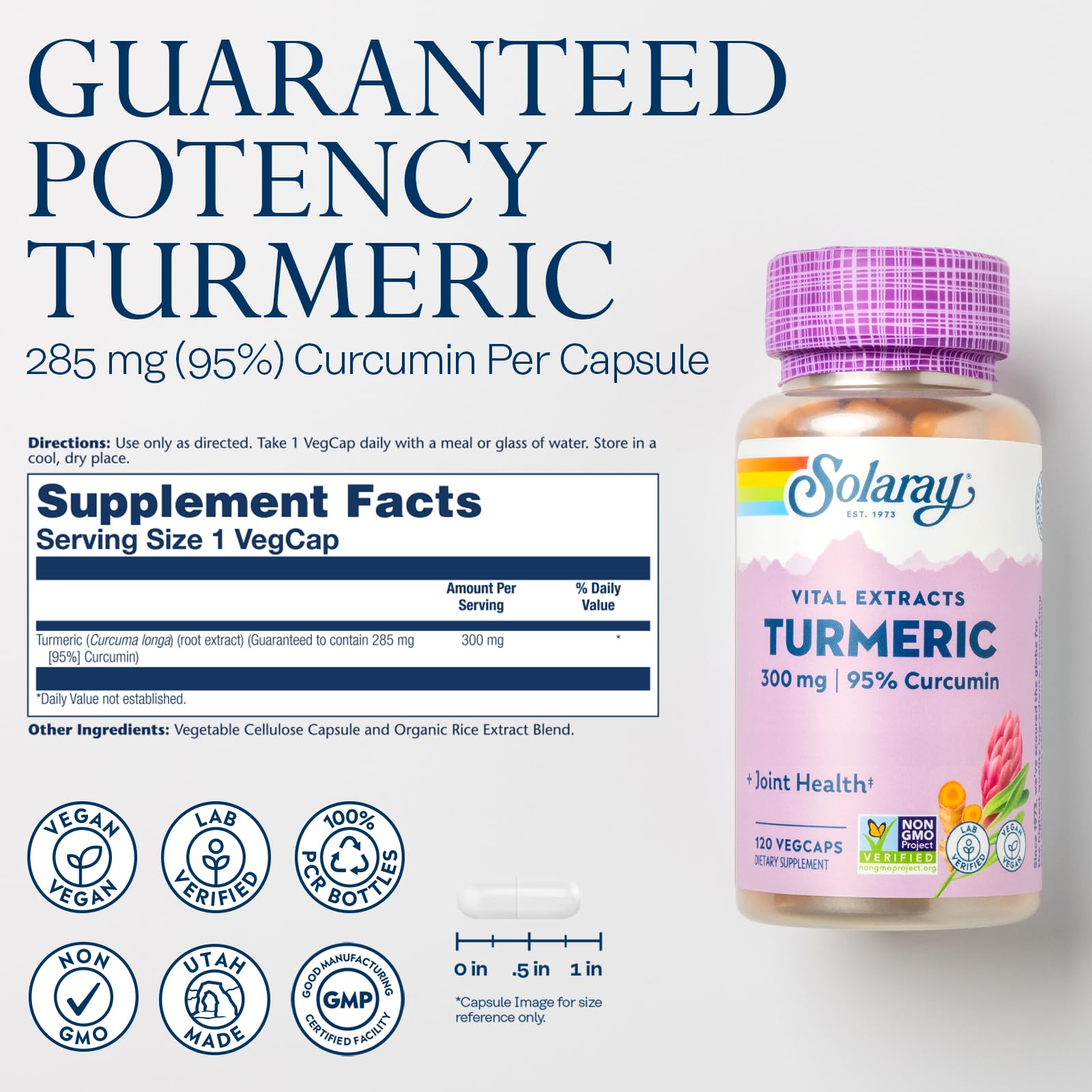 SOLARAY Curcumin 95 percent label close-up indicating potency.