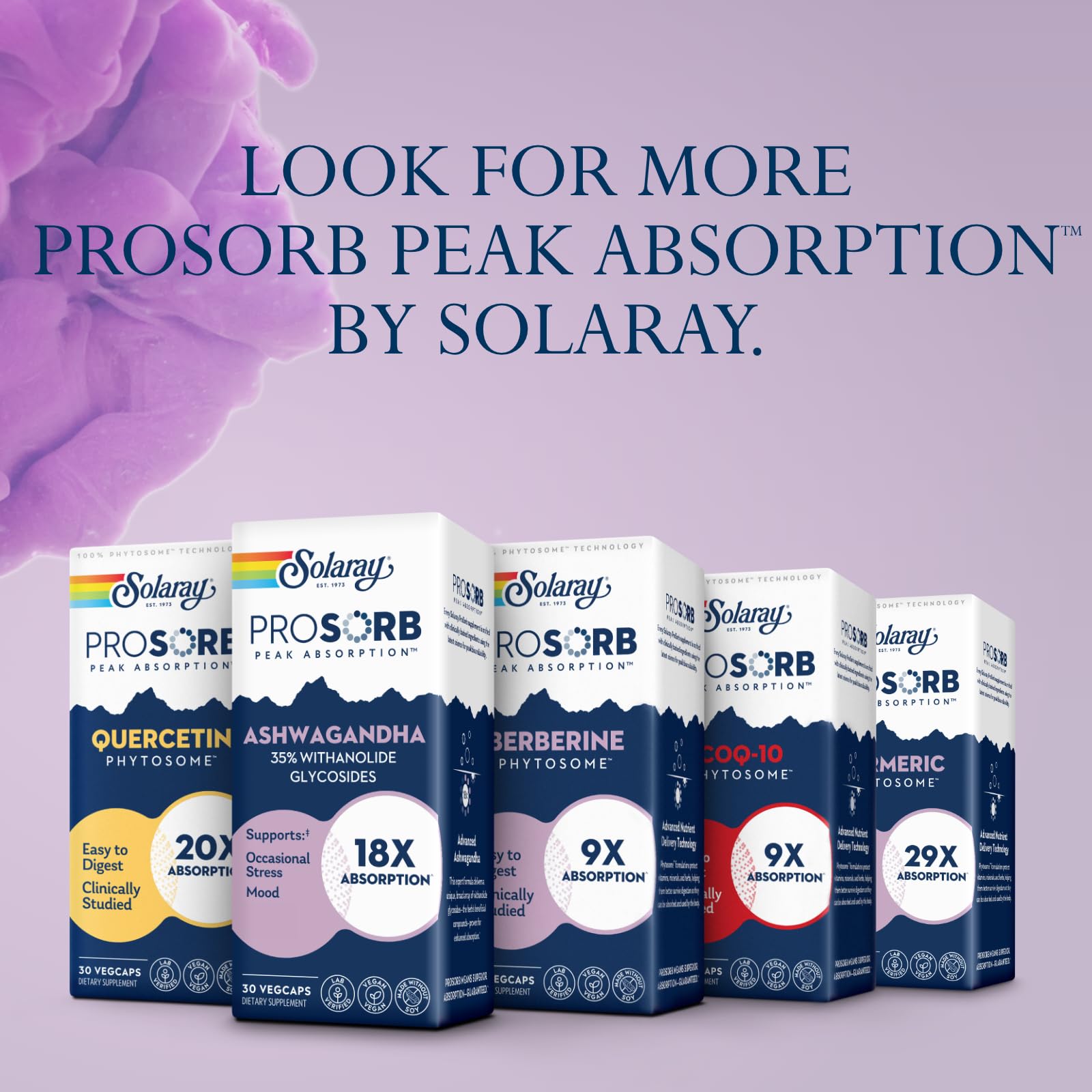 SOLARAY 60-day guarantee badge on packaging