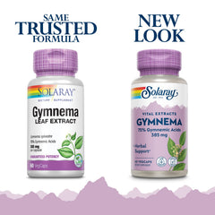 SOLARAY Gymnema leaf extract label closeup shows potency details and ingredients