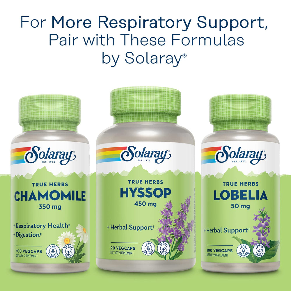 Solaray Mullein Leaf capsules in a daily routine setup for respiratory comfort