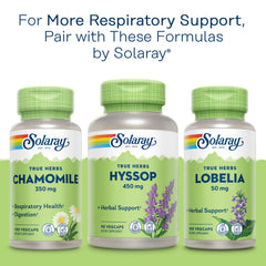 Solaray Mullein Leaf capsules in a daily routine setup for respiratory comfort