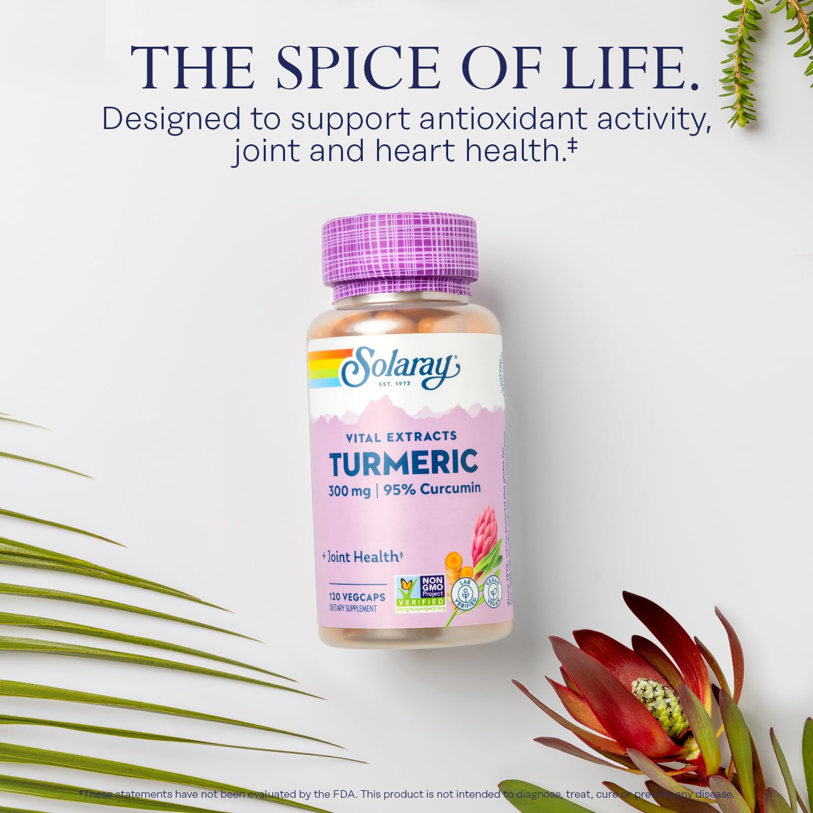 SOLARAY turmeric capsules bottle ready for daily joint support.
