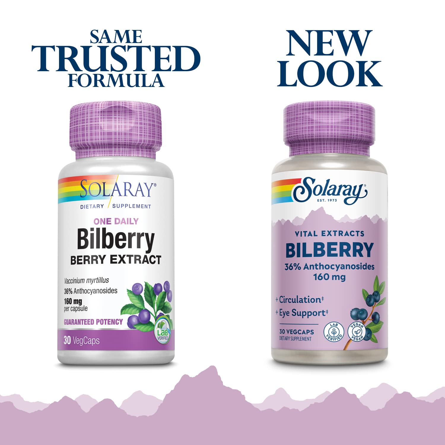 SOLARAY Vegan capsules showcase plant-based, daily supplement convenience.