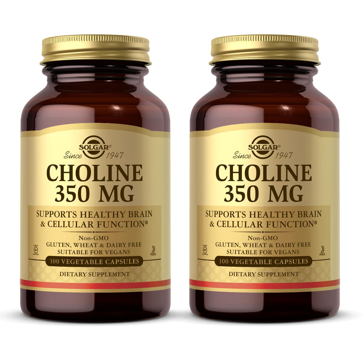 Solgar Choline 350 mg bottle — supports healthy cell membranes and metabolism.