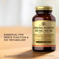 Solgar Choline/Inositol serving size info, illustrating daily usage for energy metabolism.