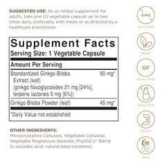 Solgar Ginkgo Biloba Leaf Extract bottle ready for study or work sessions.