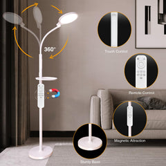 SOLLA 2-in-1 lamp supports floor and desk use with height adjust.