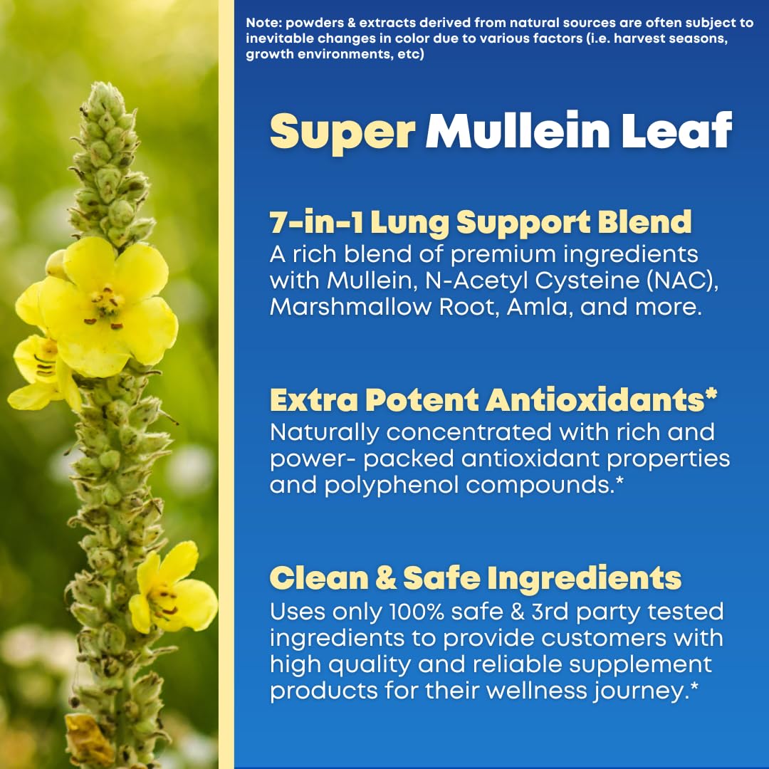 SOLNUVI Ivy Leaf standardized Hederacoside C for bronchial clarity and natural antioxidant support.