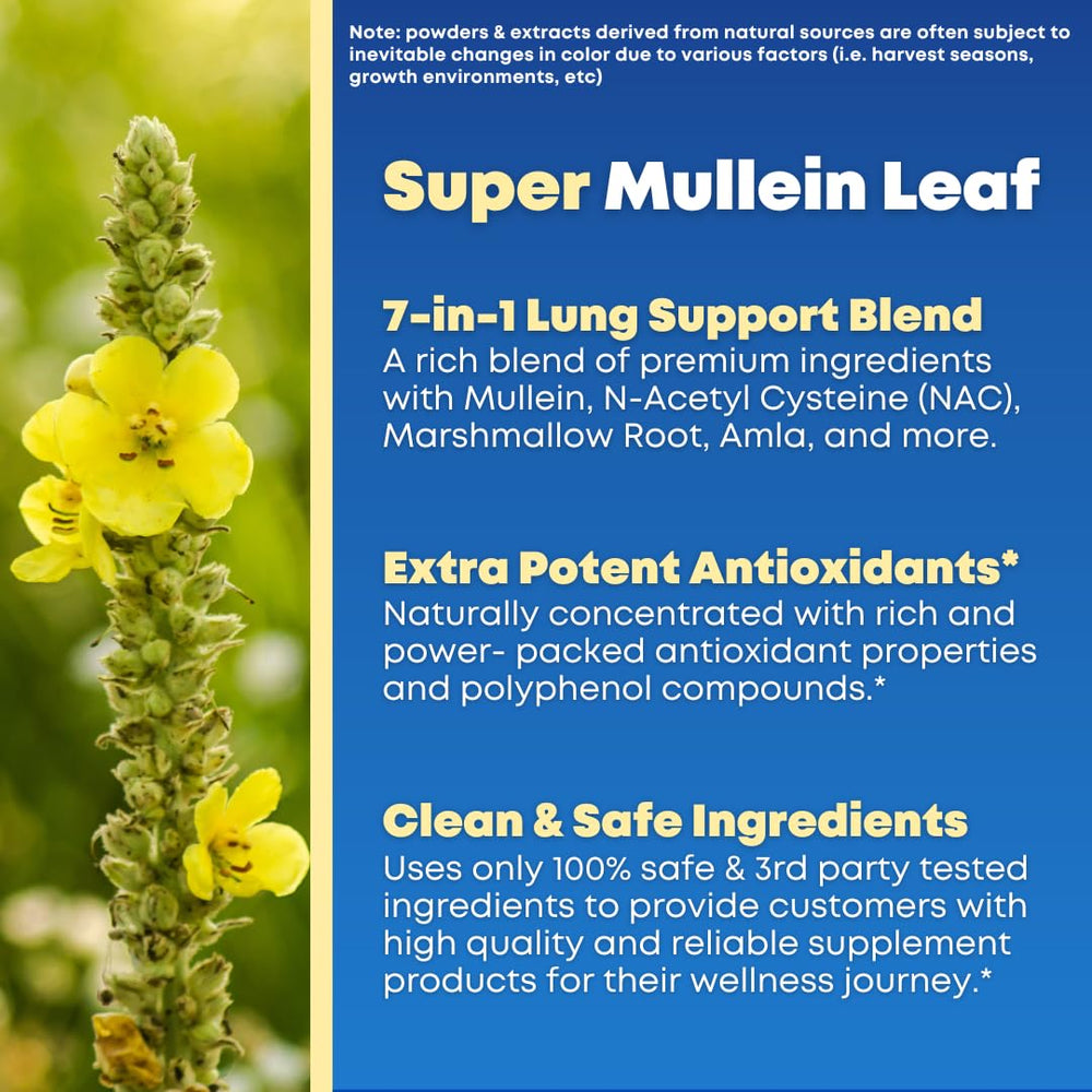 SOLNUVI Ivy Leaf standardized Hederacoside C for bronchial clarity and natural antioxidant support.