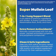 SOLNUVI Ivy Leaf standardized Hederacoside C for bronchial clarity and natural antioxidant support.