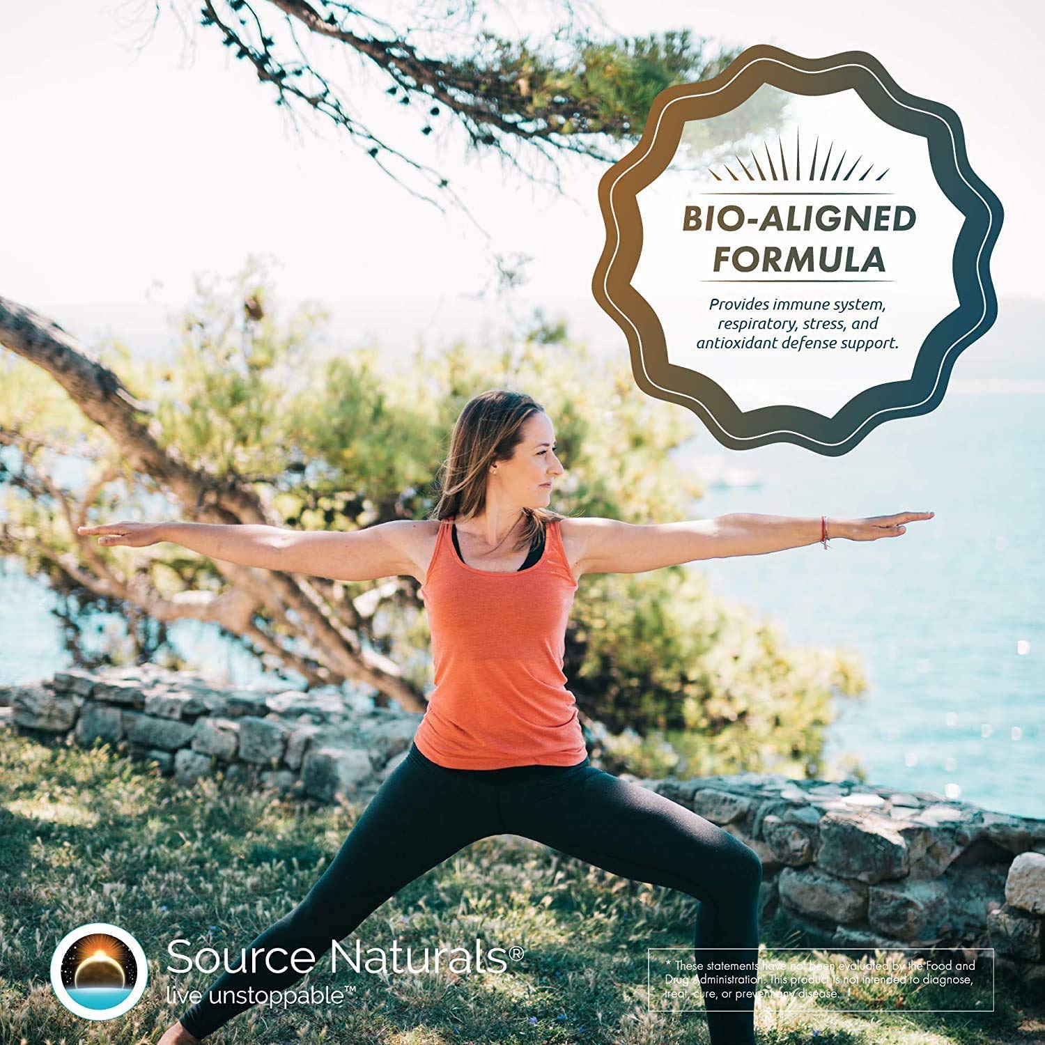 Source Naturals Wellness Formula desk setup suggesting daily routine.