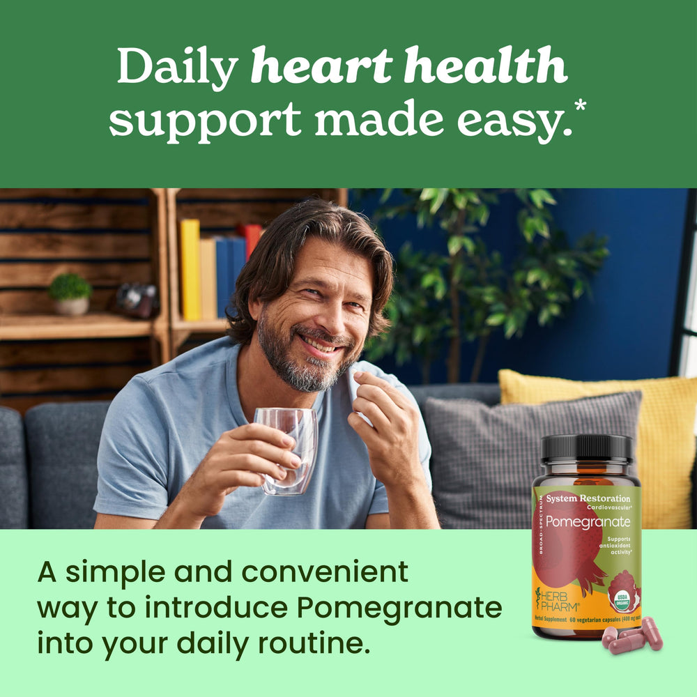 Spanish-origin pomegranate fruit symbolizing quality ingredients.